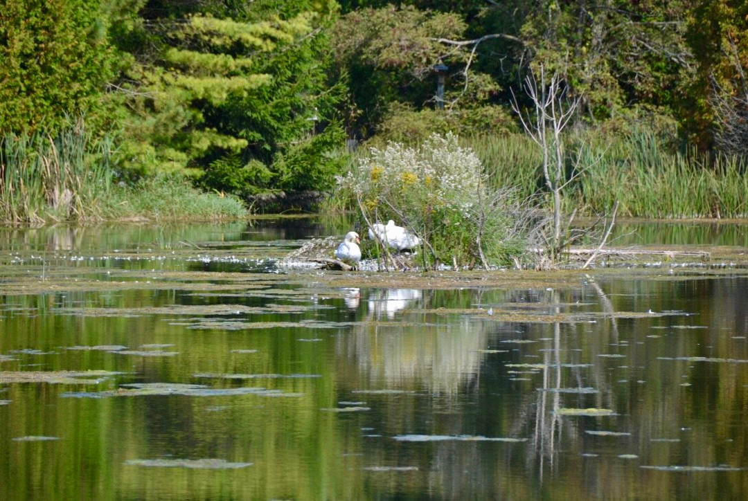 Nawautin Nature Sanctuary景点图片