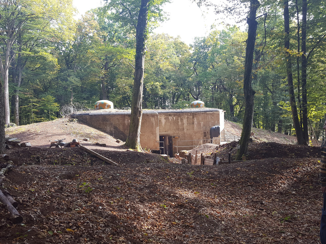 Casemates du Huberbusch - 164e RIF (Ligne Maginot)-Chemery-les-Deux必去景点