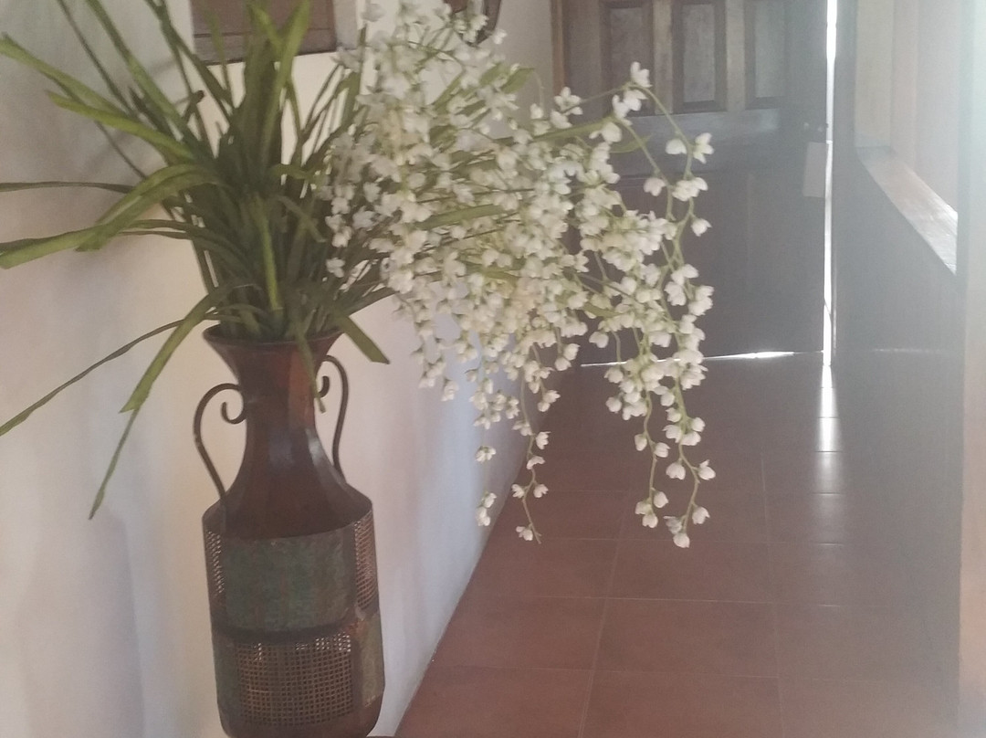 Catcha Falling Star主图