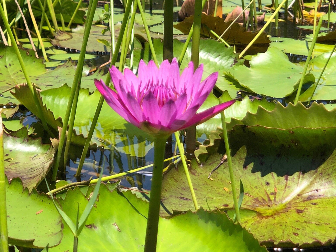 Serra dos Cavalos-Caruaru必去景点