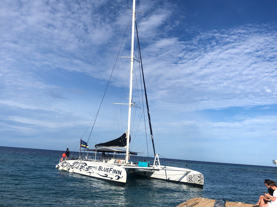 CT .com-威廉斯塔德必去景点