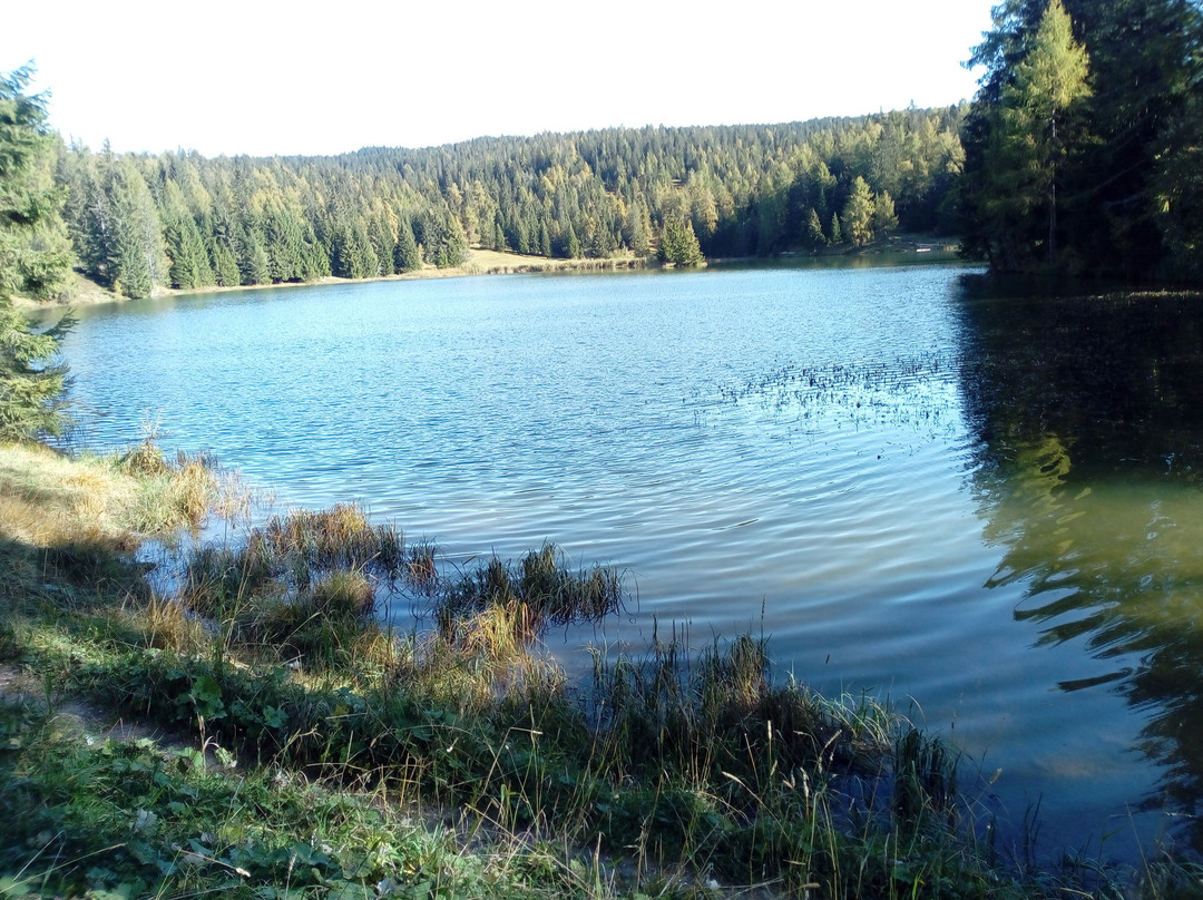 Lago di Tret景点图片