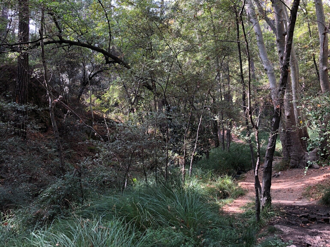 Mesa Potamos Waterfalls-帕拉翠斯必去景点