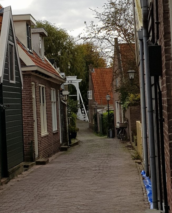 Monnickendammer Visdagen景点图片