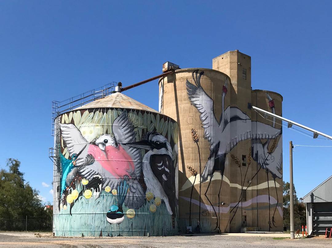 Tungamah Silo Art-Tungamah必去景点