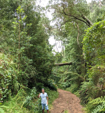 Madeira Off Road Tours-马德拉群岛必去景点