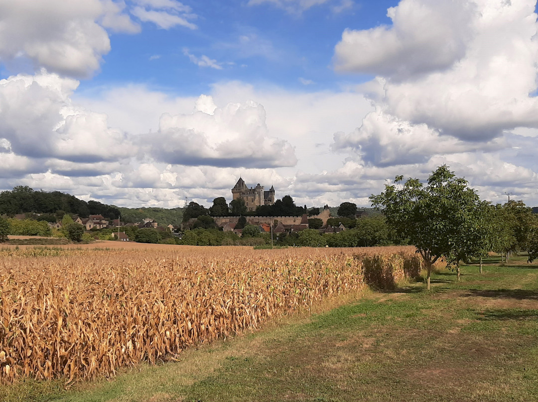 Chateau de Montfort景点图片