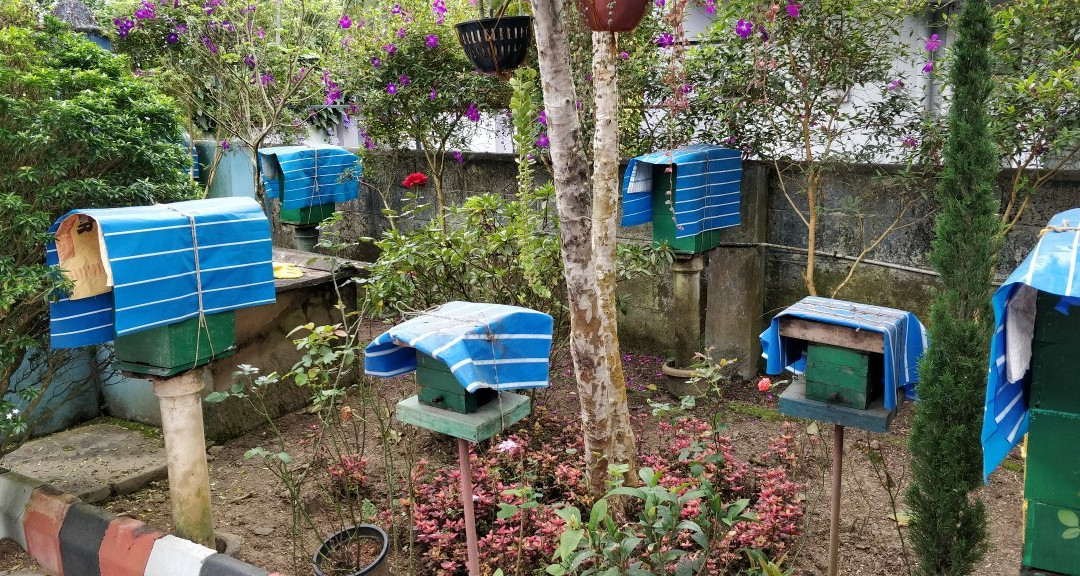 Philip's Natural Honey And Bee Farm景点图片