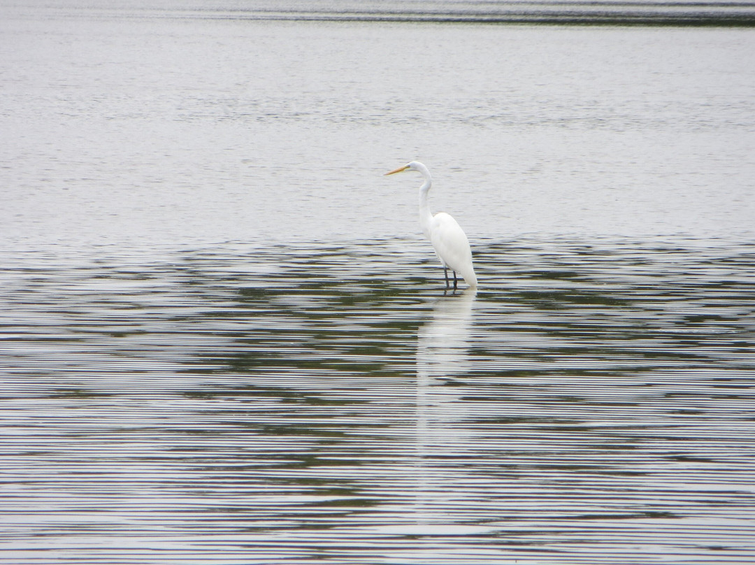 Red River National Wildlife Refuge景点图片