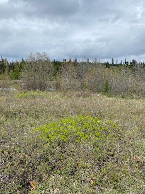 Transboundry Flathead River Interactive Trail-Polebridge必去景点