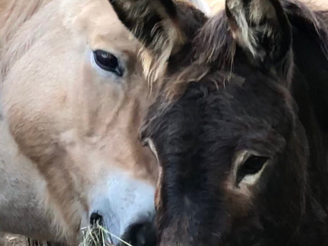 Sleighman-Ishpeming必去景点