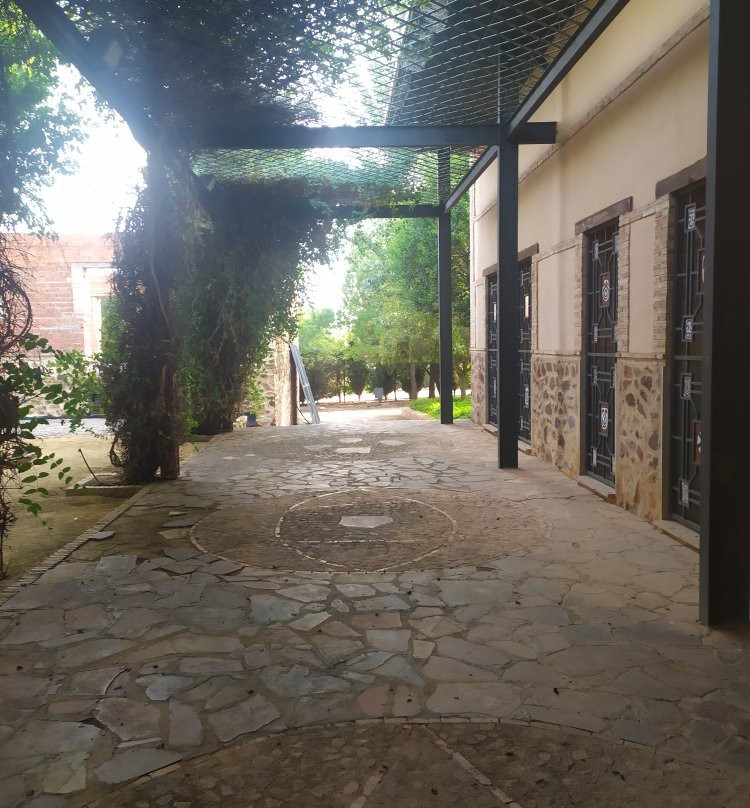 Parque Arqueológico Cerro De Las Cabezas景点图片