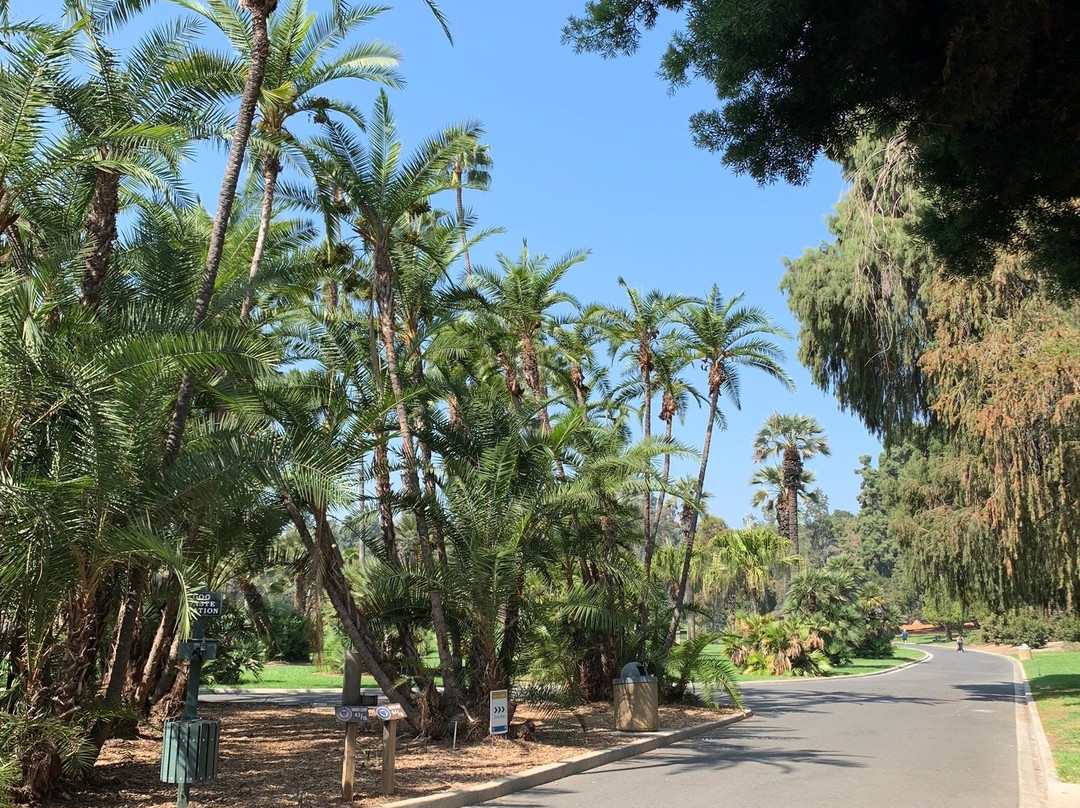 Lacy Park-圣玛利诺必去景点