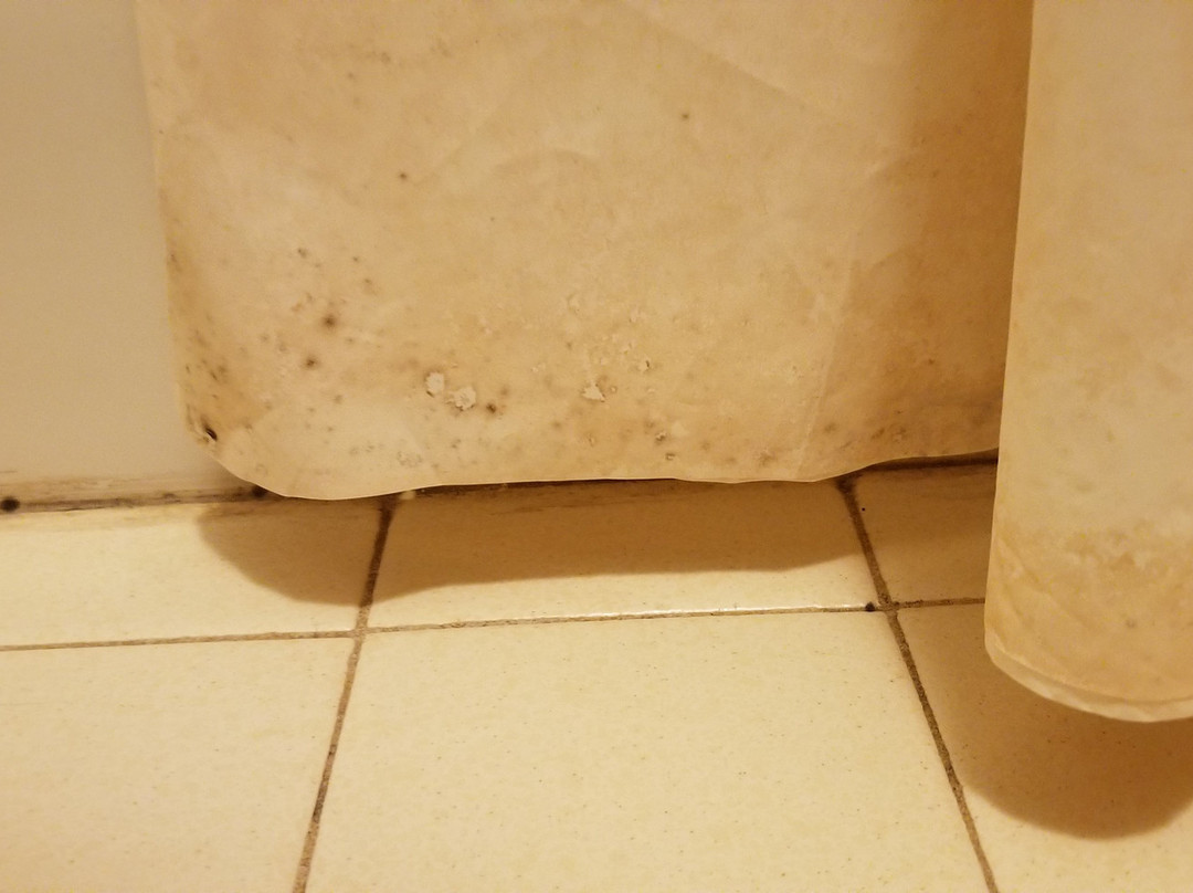 M22 Inn Empire主图