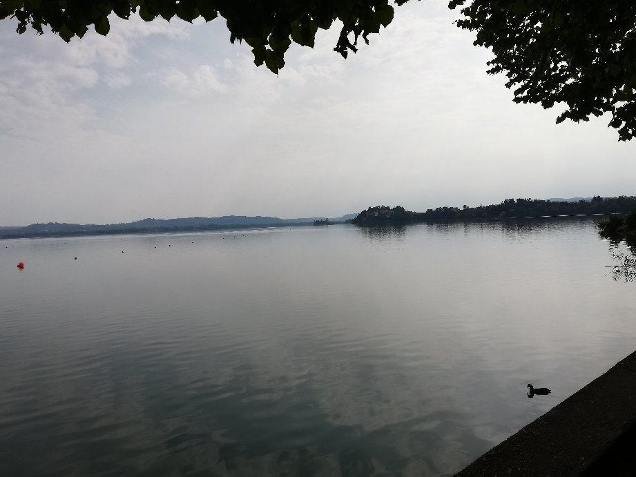 Lungolago di Gavirate景点图片