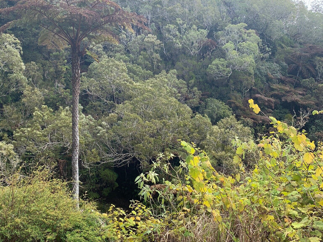 Trou de Fer景点图片