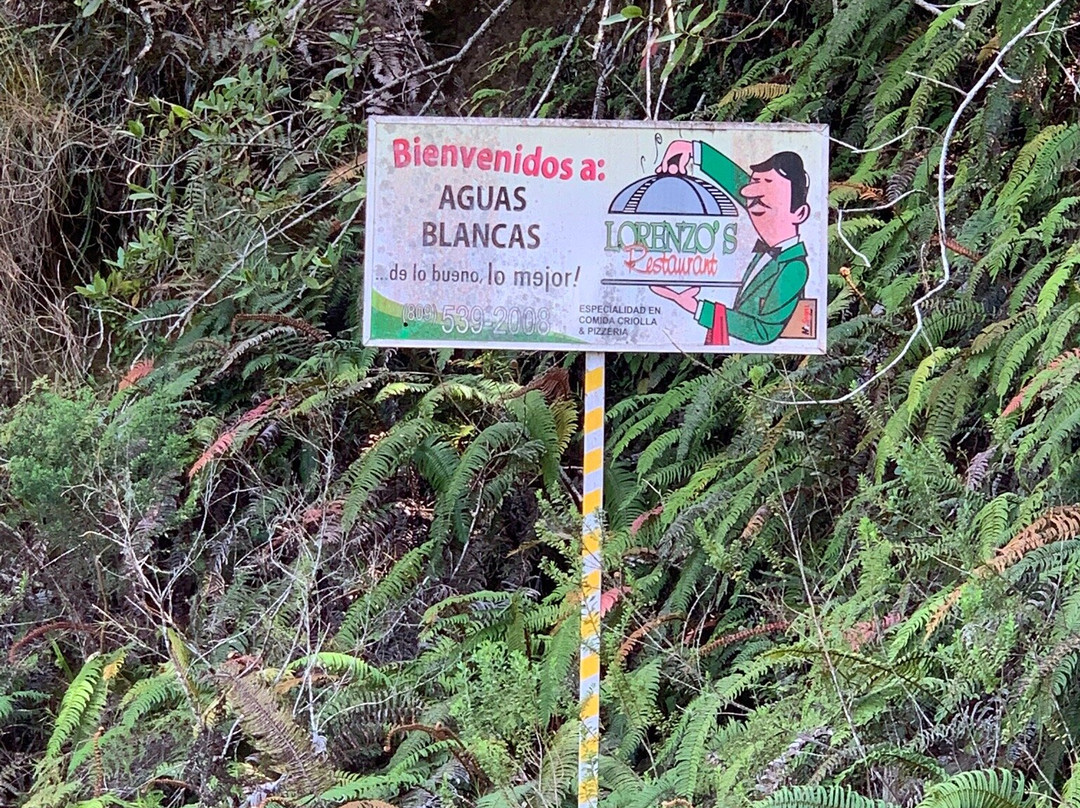 Salto de Jimenoa Dos景点图片