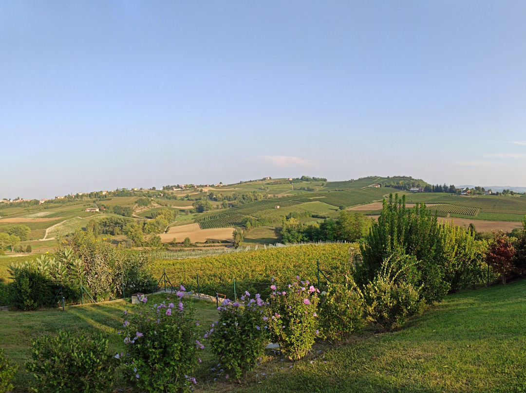 Naturalmente Wine Resort主图