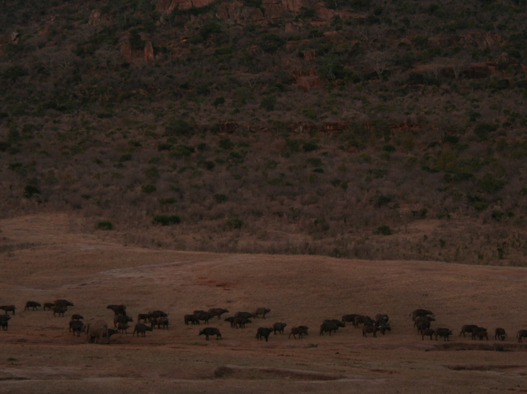 Ngulia Safari Lodge主图