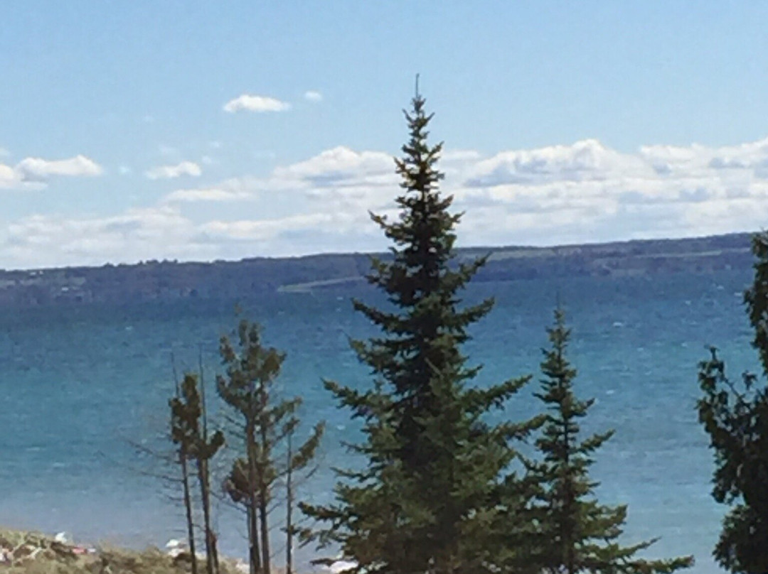 Thorne Swift Nature Preserve-Harbor Springs必去景点