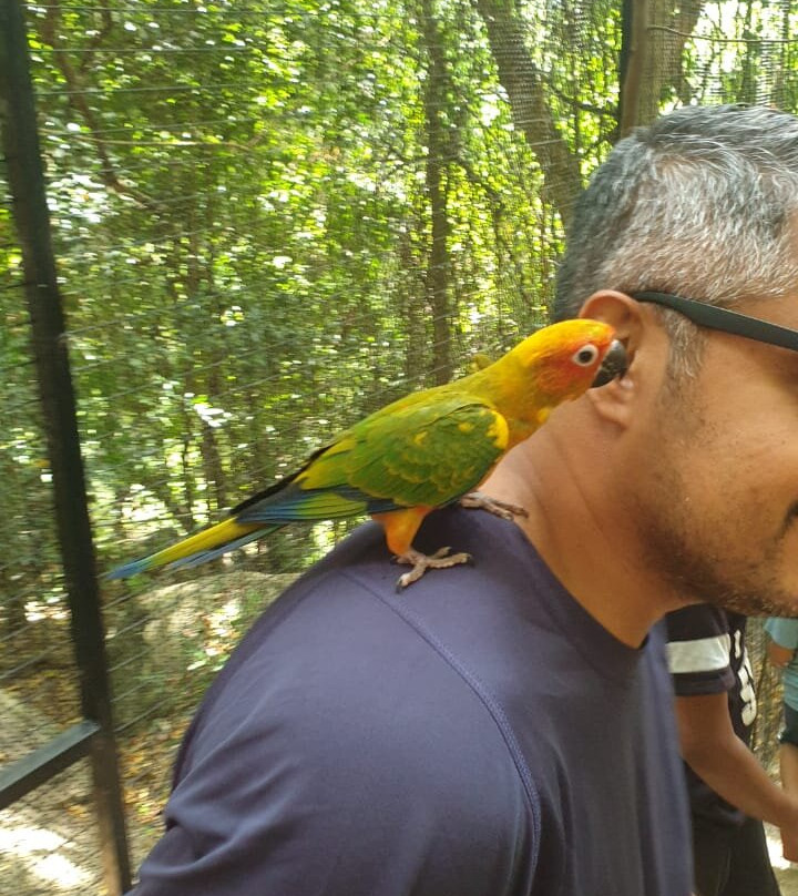 Arangala Forest Lodge主图