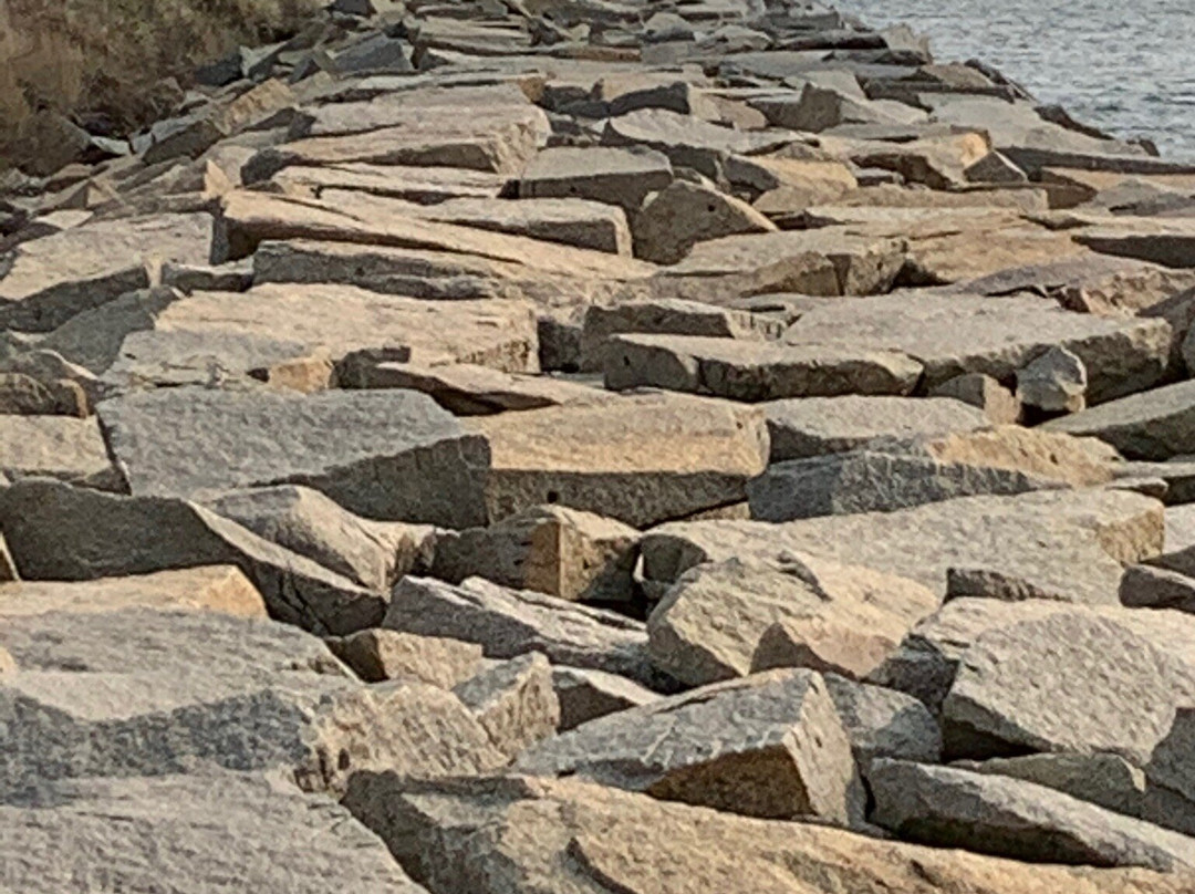 The Cape Cod Canal Bikeway景点图片