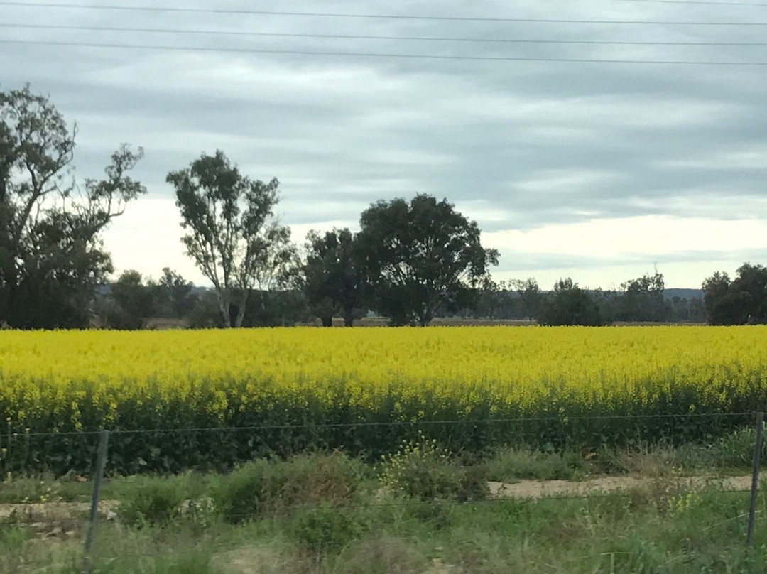 Strathearn Park Lodge主图