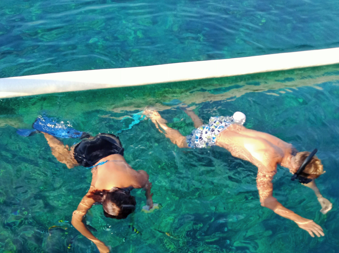 LOVINA TICKET DOLPHINS & SNORKLING-Kaliasem必去景点