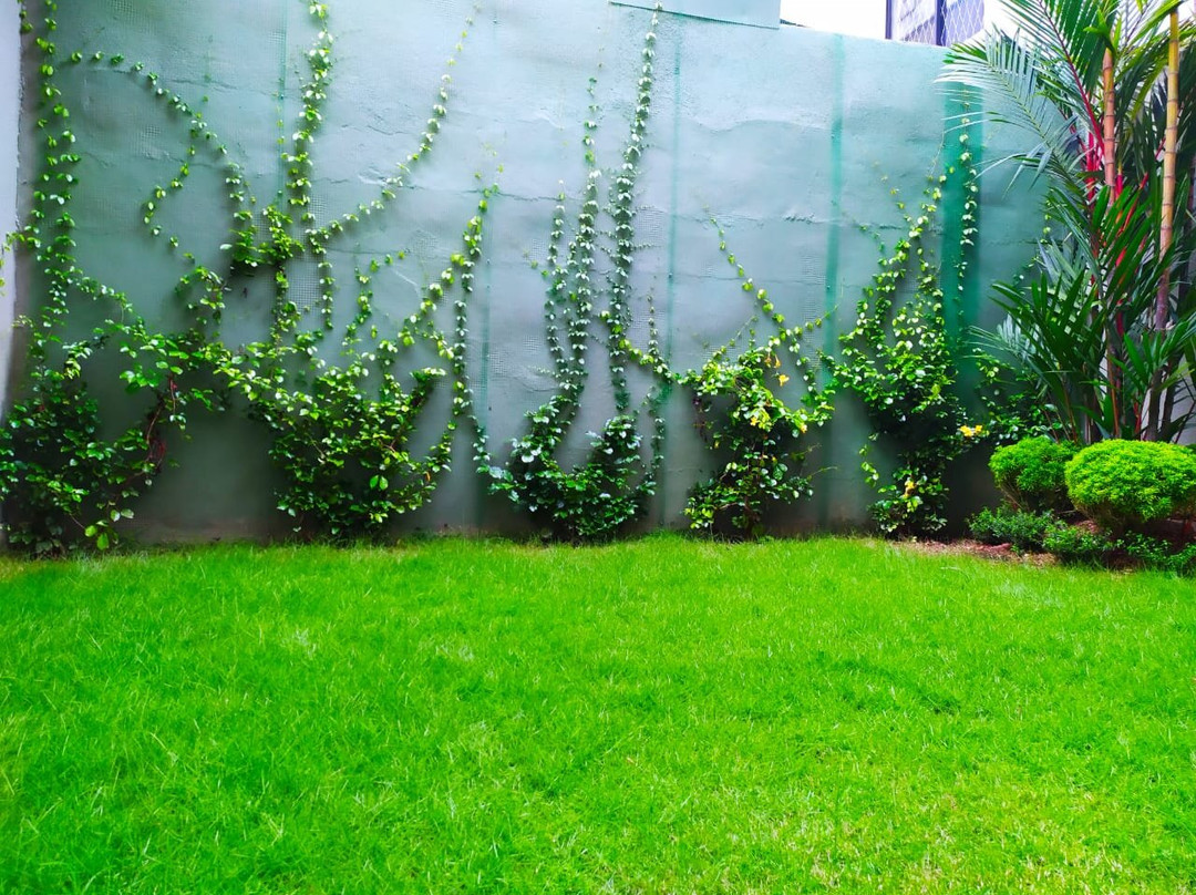 回归线旅馆主图