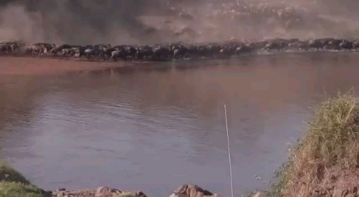 Mara River-塞伦盖蒂国家公园必去景点