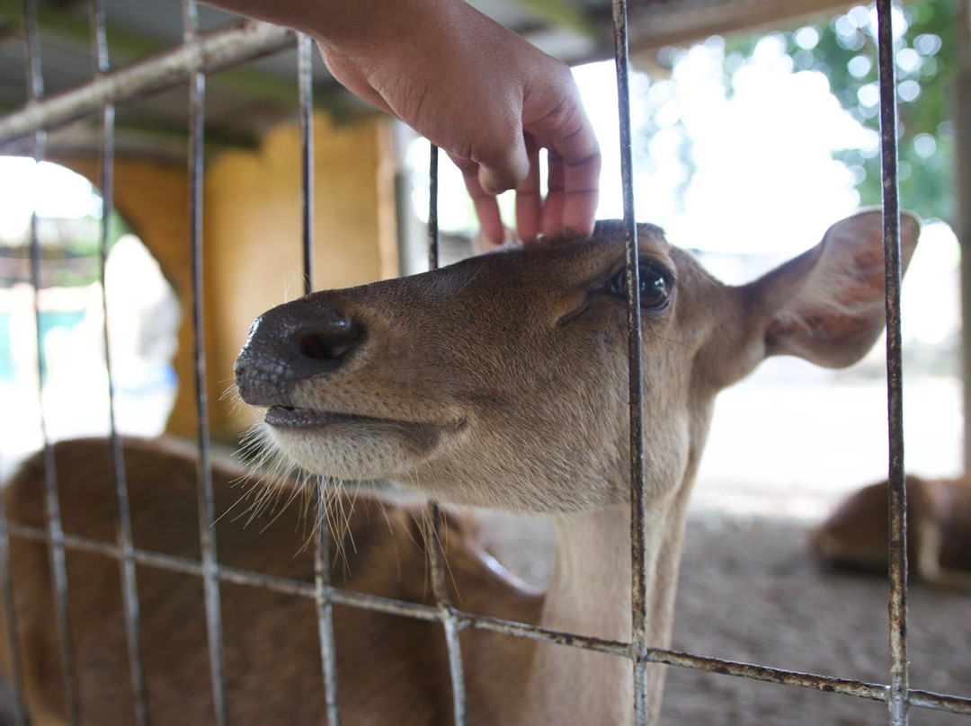Taman Buaya & Rekreasi Melaka-爱极乐必去景点