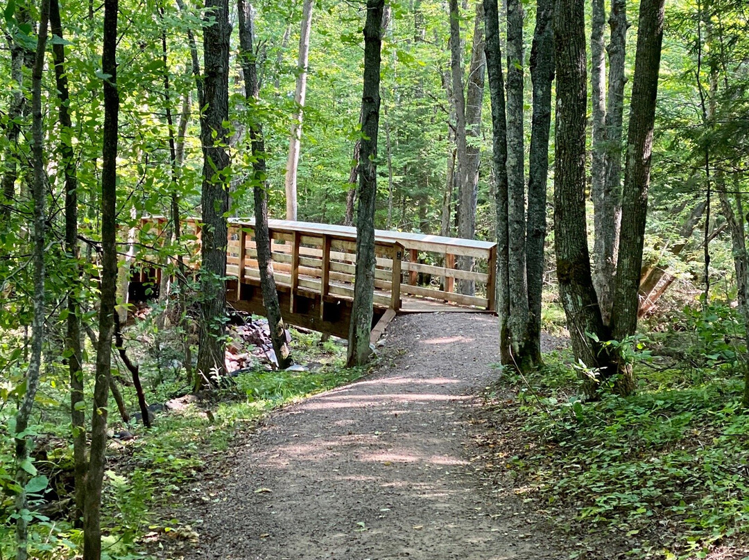 Morgan Falls St. Peter's Dome Trail-Mellen必去景点