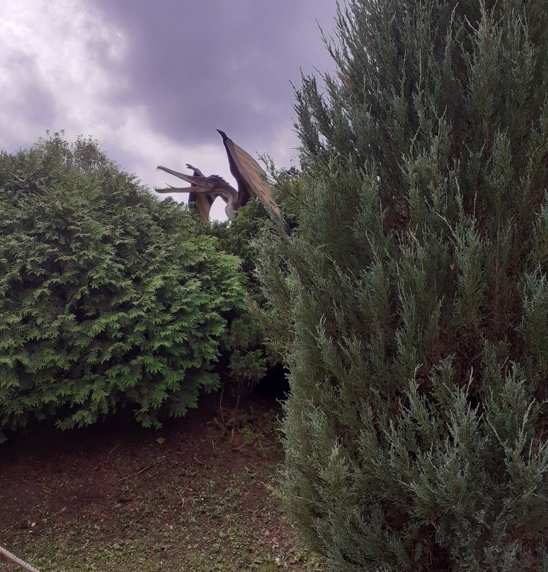 Jurajski Park Dinozaurów Muzeum Dziejów Ziemi景点图片