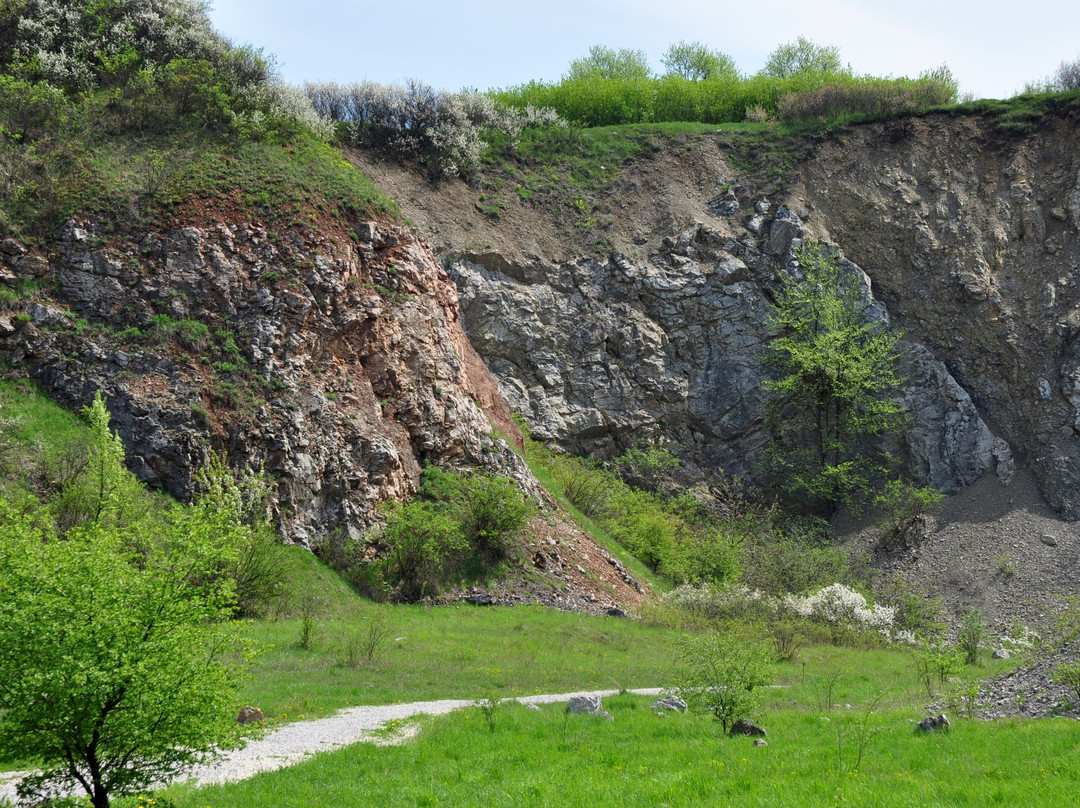 Wietrznia Nature Reserve (Rezerwat Przyrody Wietrznia)景点图片