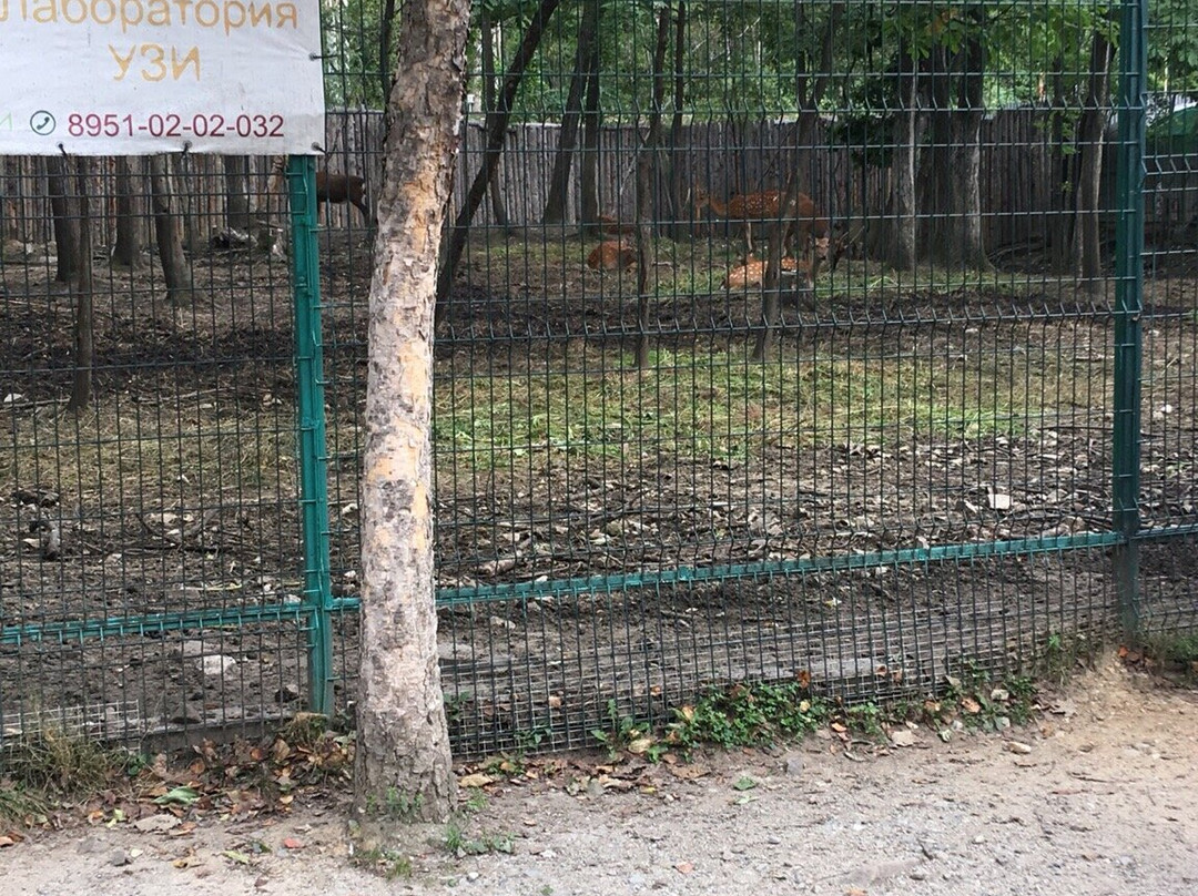 Sadgorod Zoo-海参崴必去景点