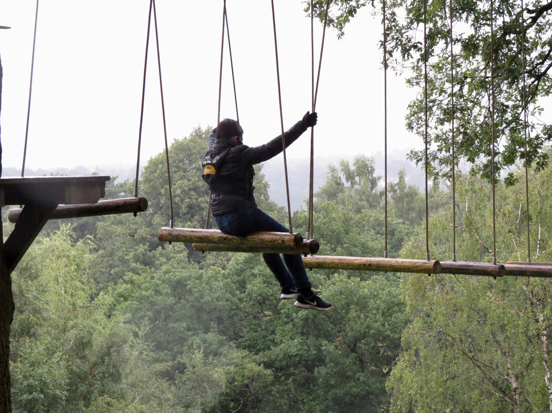 Trentham Treetop Adventures-Trentham必去景点