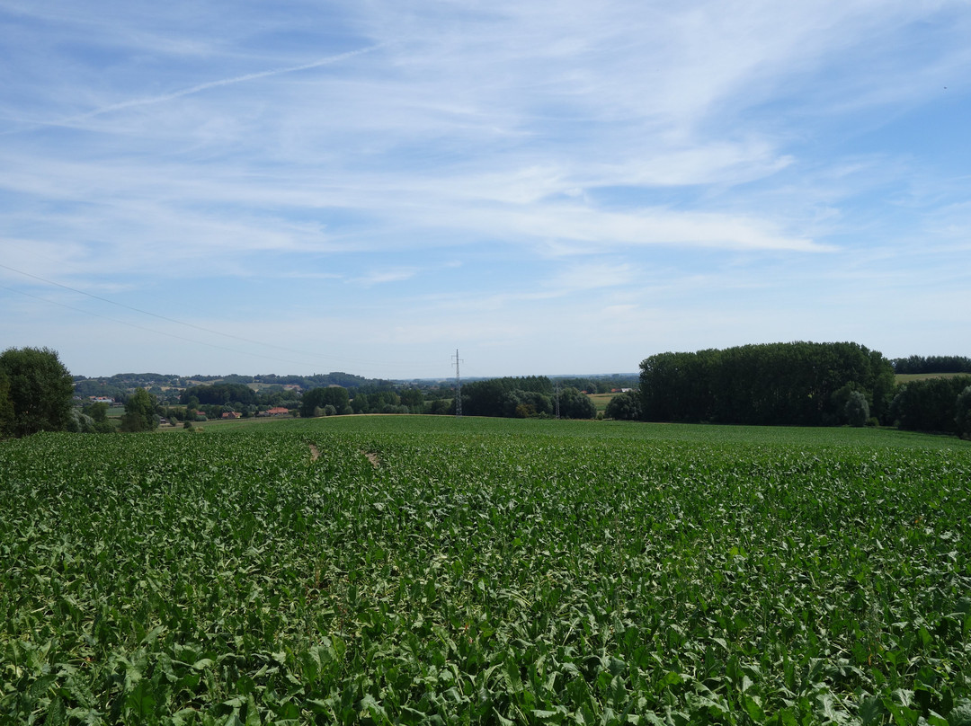 Sentier de l'Etrange景点图片