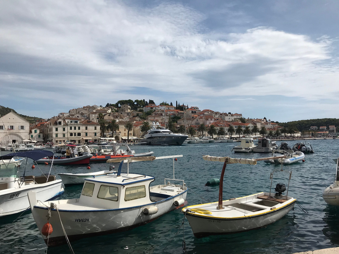 The Harbour of Hvar景点图片
