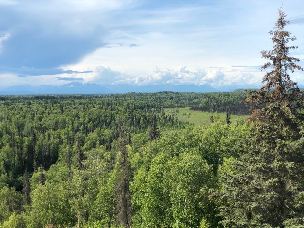 Denali Overlook Inn-酒店景观
