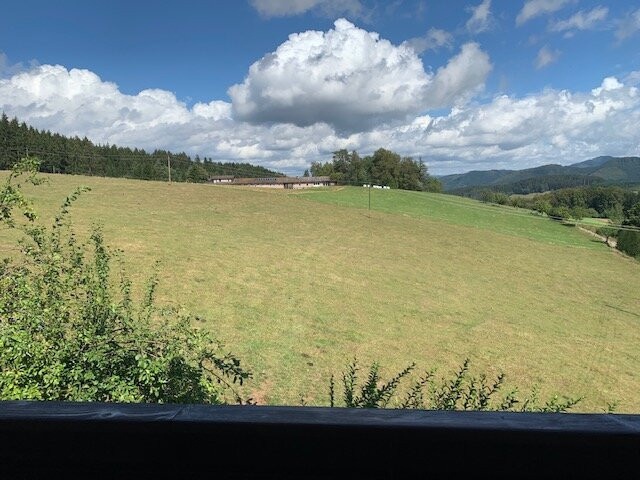 Pfaus Heidburg主图