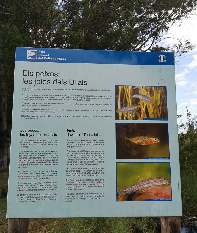 Ullals de Baltasar景点图片