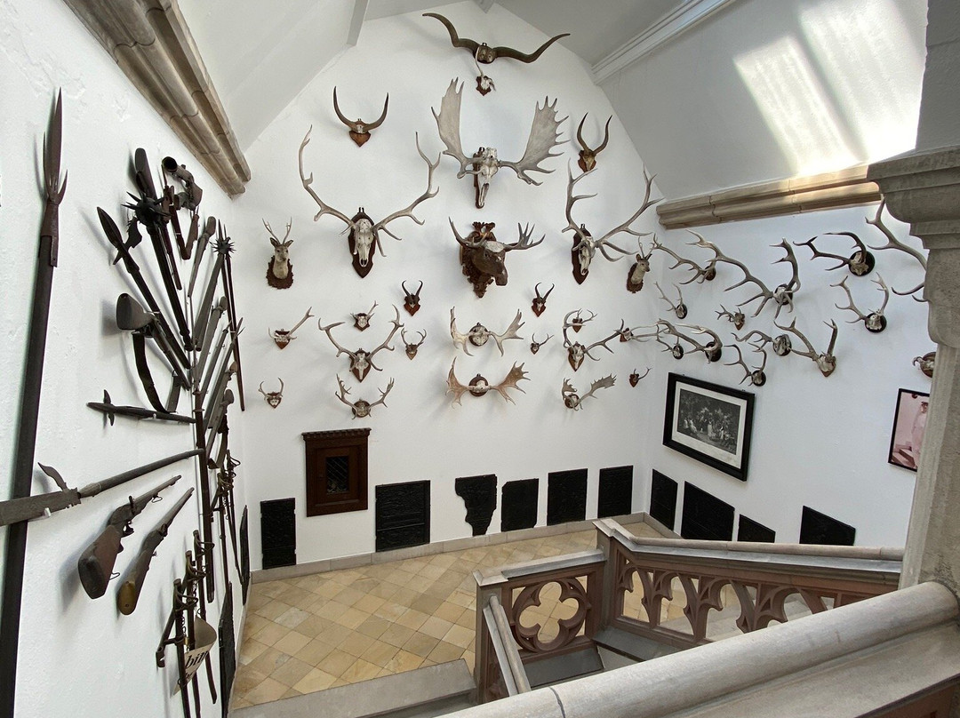 Museum Reichenstein景点图片
