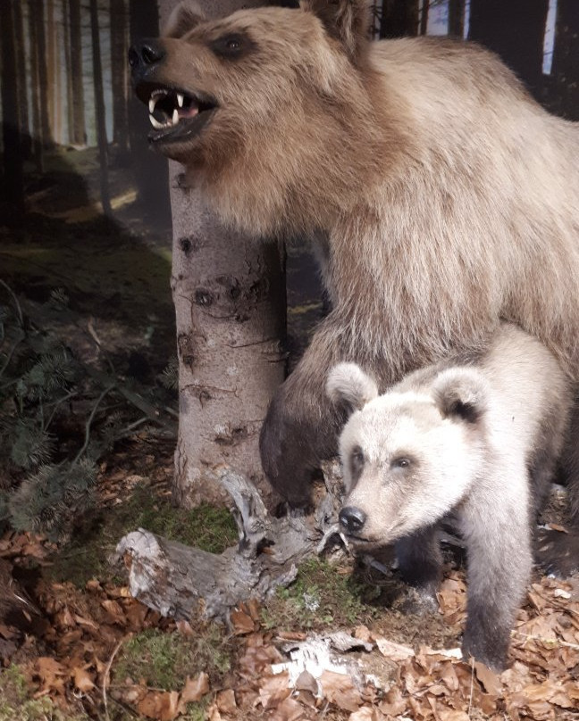 Centro Documentazione Luserna-Luserna必去景点