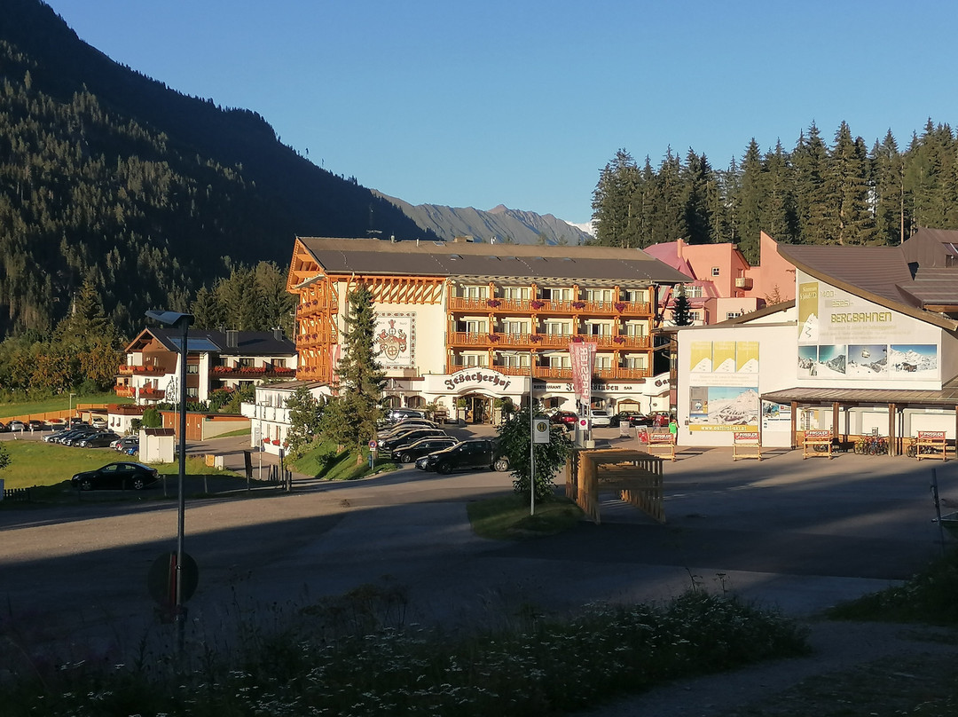 Alpinhotel Jesacherhof Gourmet & Spa主图