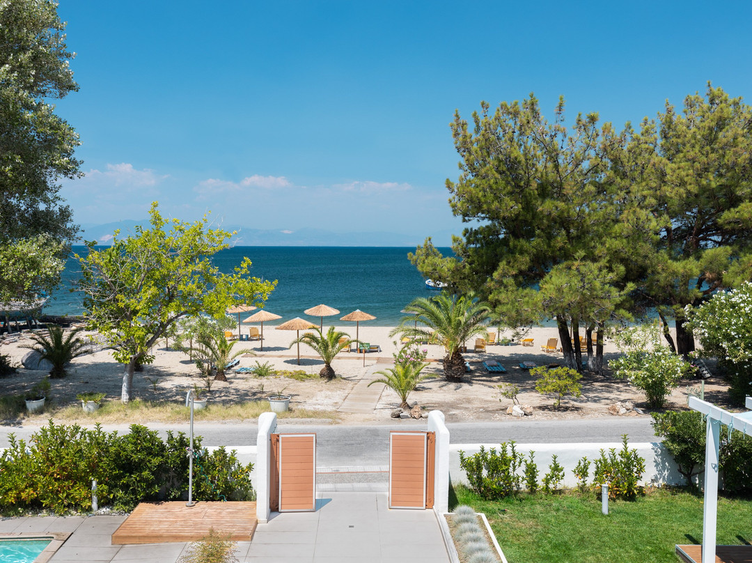 Elektra Comfort Hotel主图