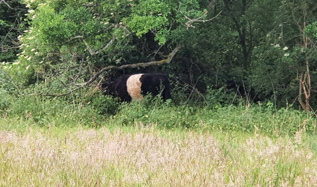 Bramshot Farm Country Park景点图片