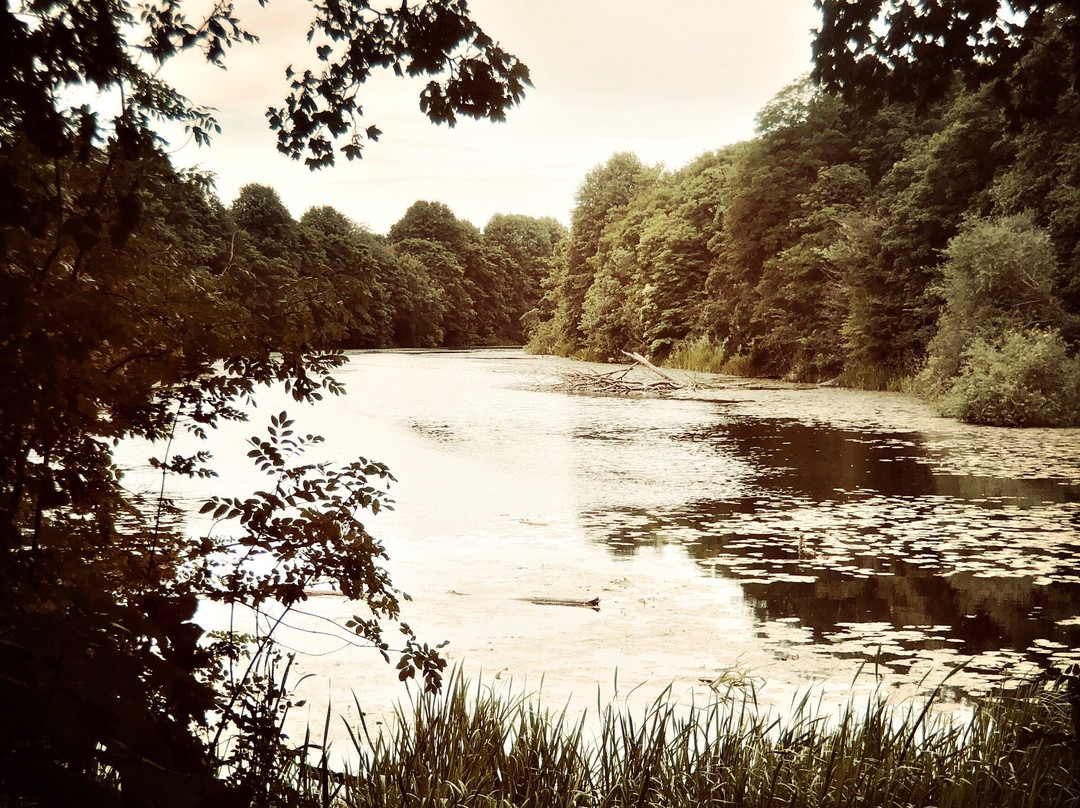 Colwick Country Park-Colwick必去景点