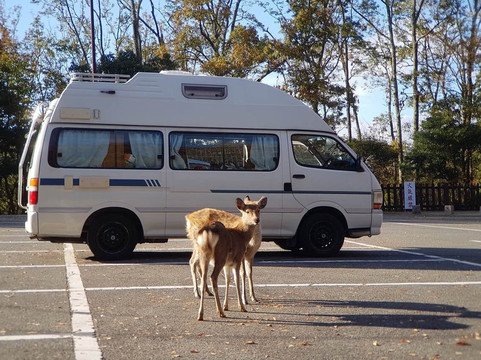 Japan Campers-成田市必去景点