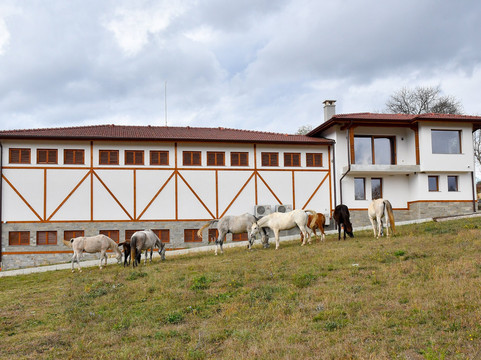 Winery Chukara-Tryavna必去景点