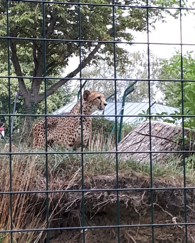 Tierpark Aachen景点图片